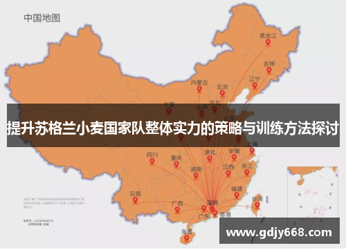 提升苏格兰小麦国家队整体实力的策略与训练方法探讨