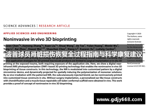 波普球员肾脏损伤恢复全过程指南与科学康复建议