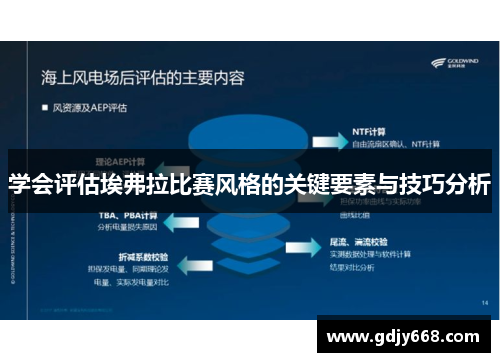 学会评估埃弗拉比赛风格的关键要素与技巧分析