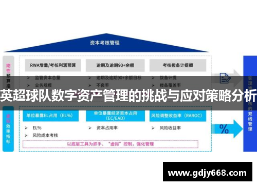 英超球队数字资产管理的挑战与应对策略分析
